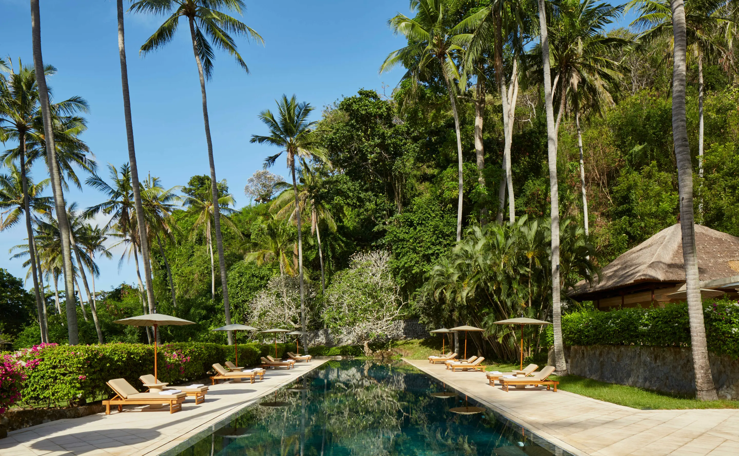 Beach Club Pool among Coconut Palms