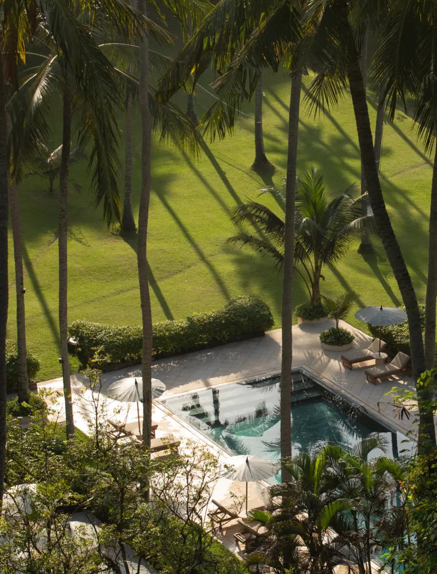 The Beach Club Seen through Palm Trees