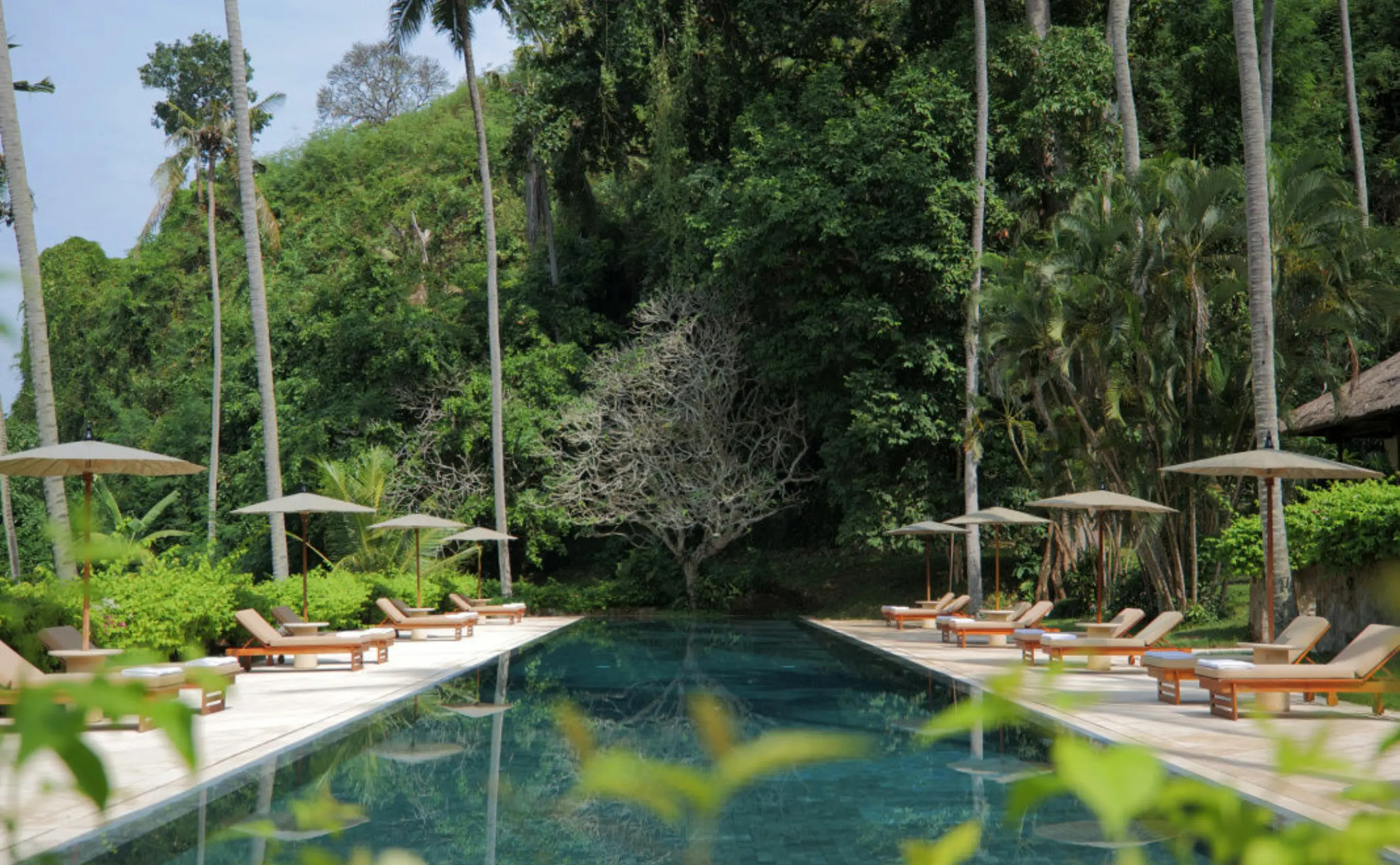 Poolside Loungers and Green Gardens