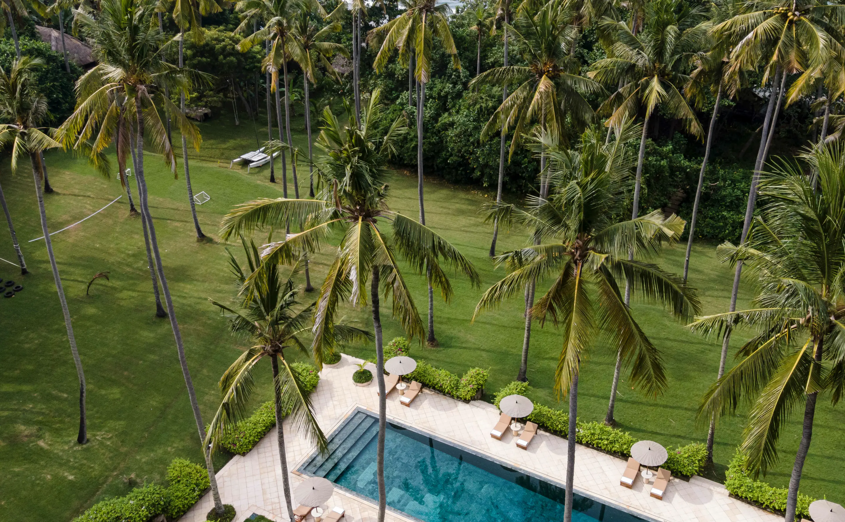 Daytime Coconut-Palm Shade and Pool