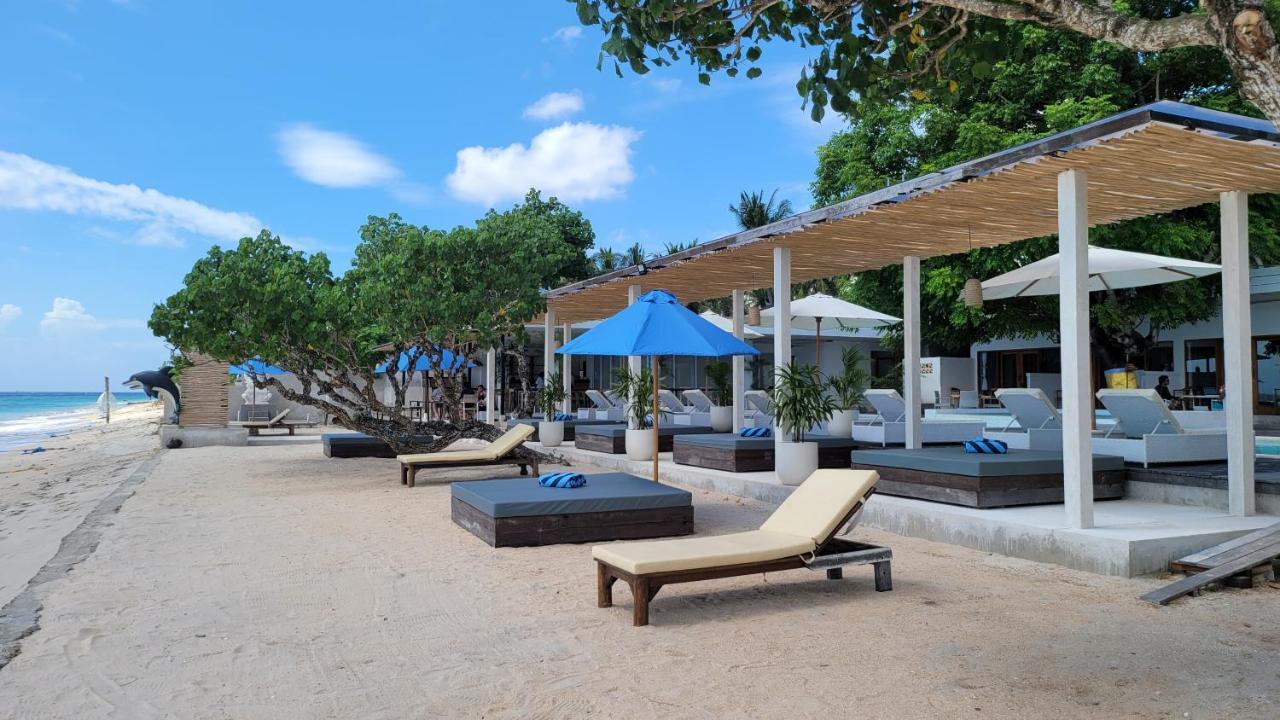AMP Beach House overall