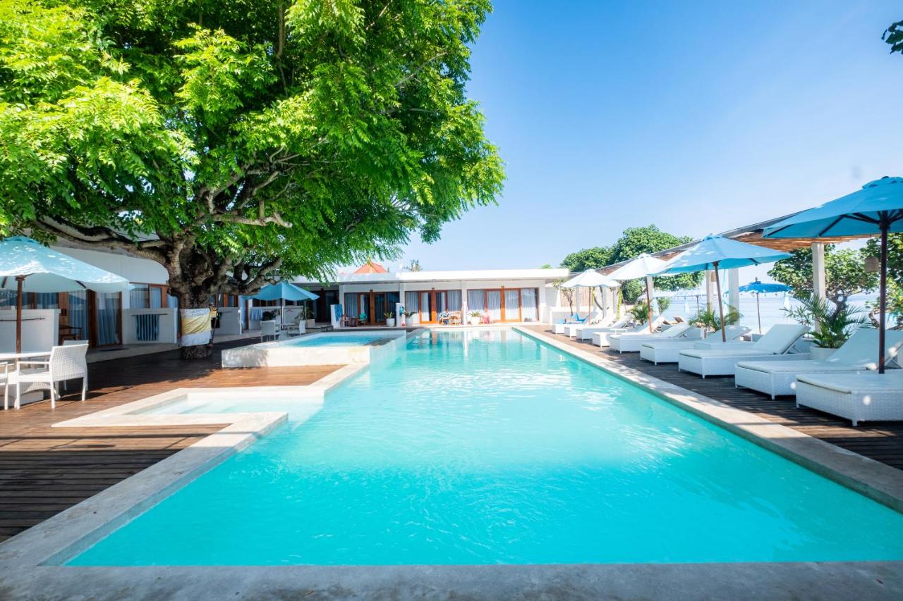 AMP Beach House overall
