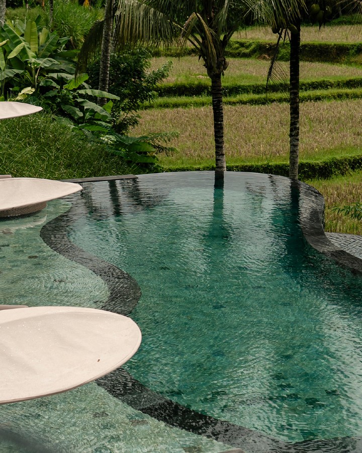 Pools Facing the Rice Fields
