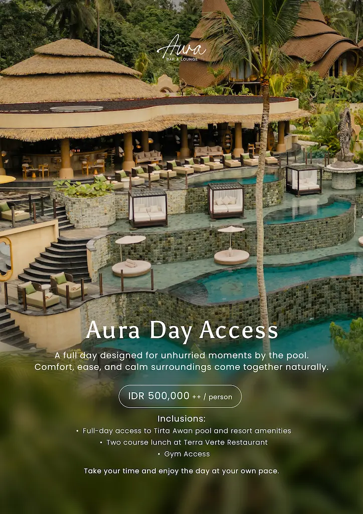Aura Day Access