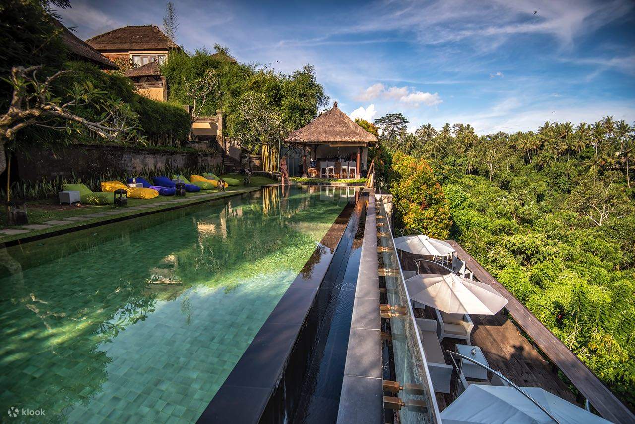 Kolam renang, beanbag di area rumput, bar beratap jerami, dan dek kayu di sisi hutan di Awana Pool & Lounge