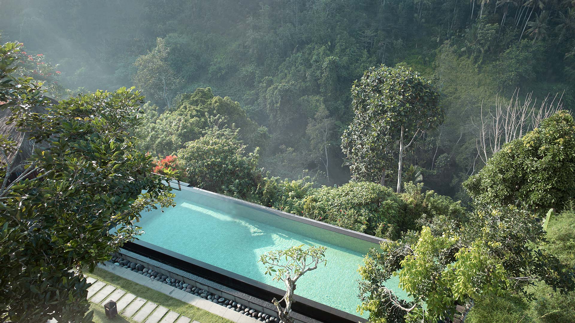 Infinity Pool Day Pass