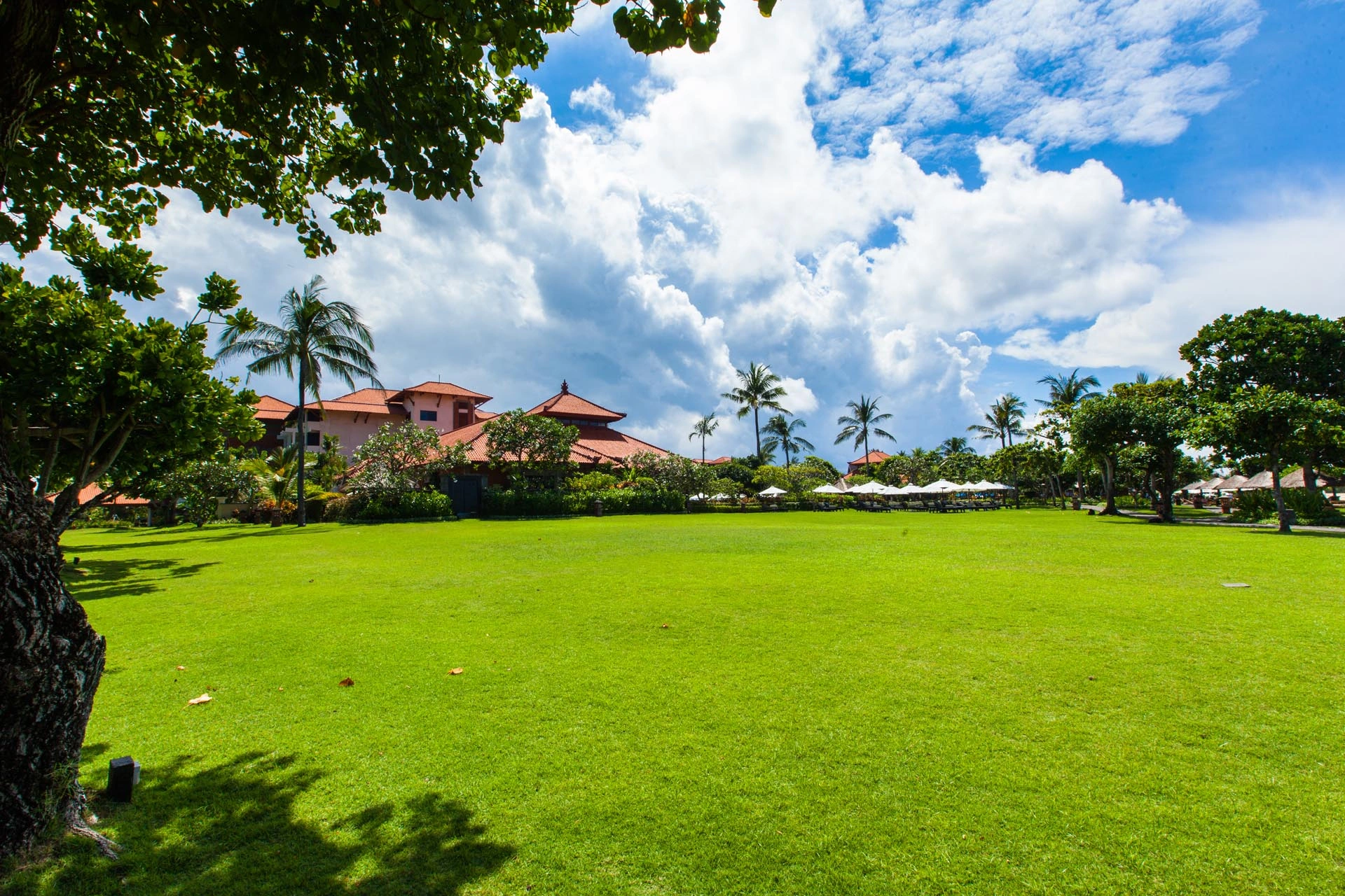 Open lawns leading towards the beachfront