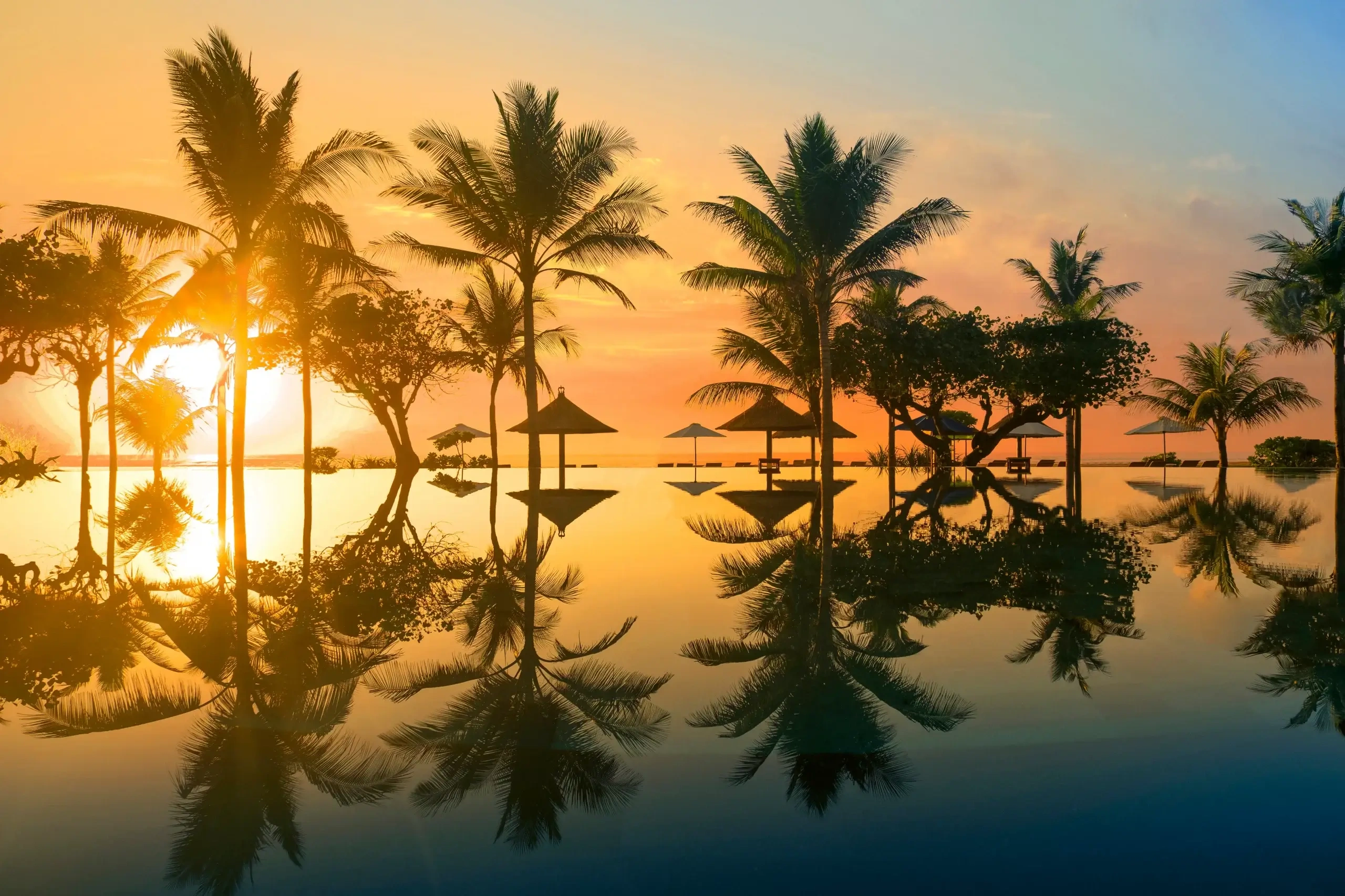 Palm Reflections on the Water