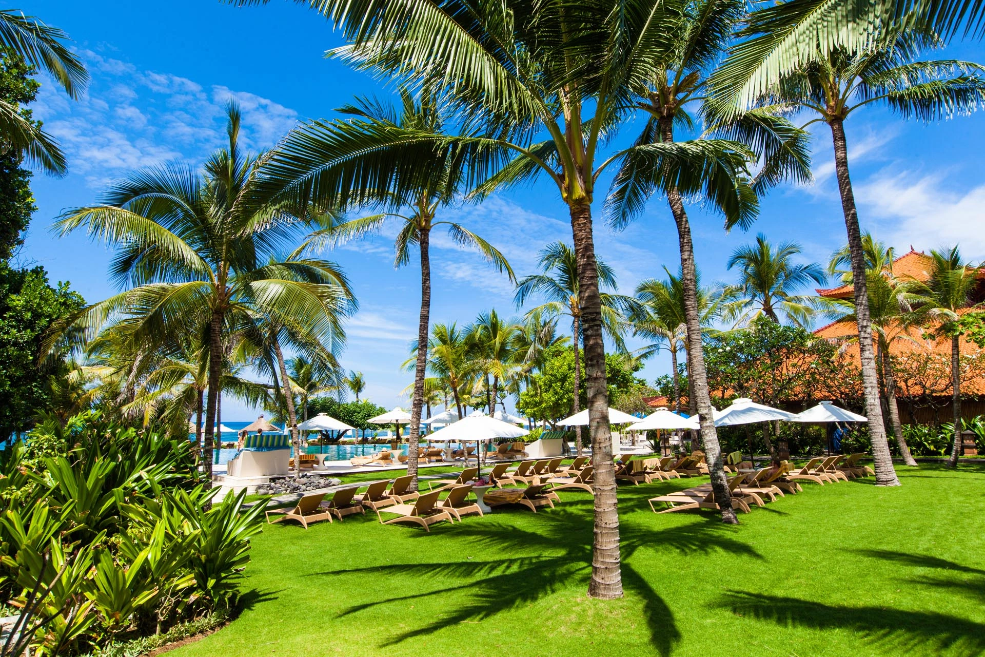 The family-pool area among the palms