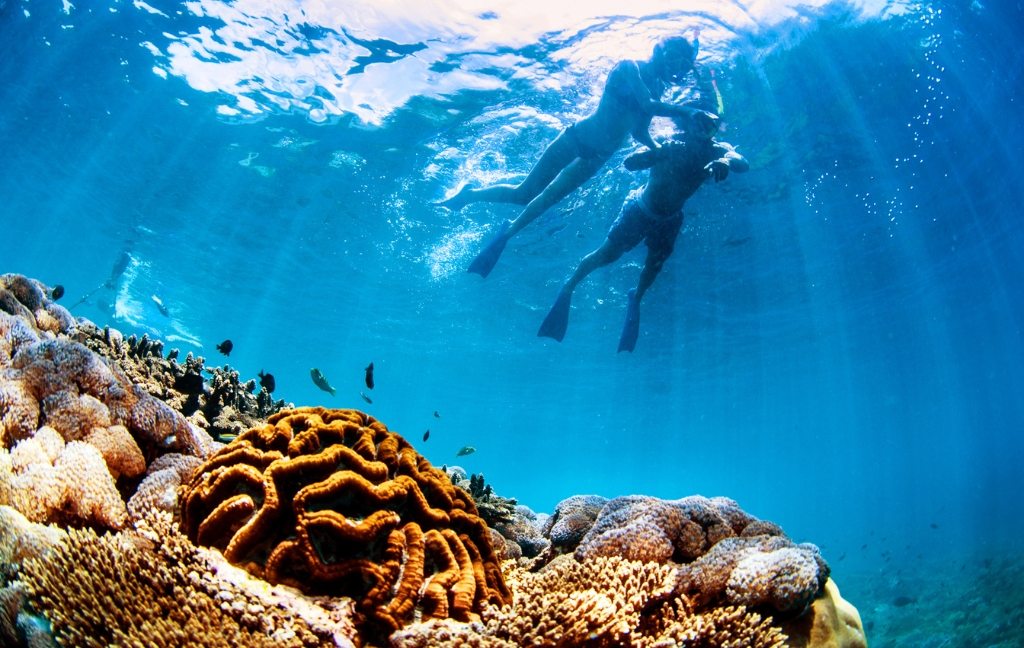 Snorkeling di air jernih sekitar Nusa Lembongan