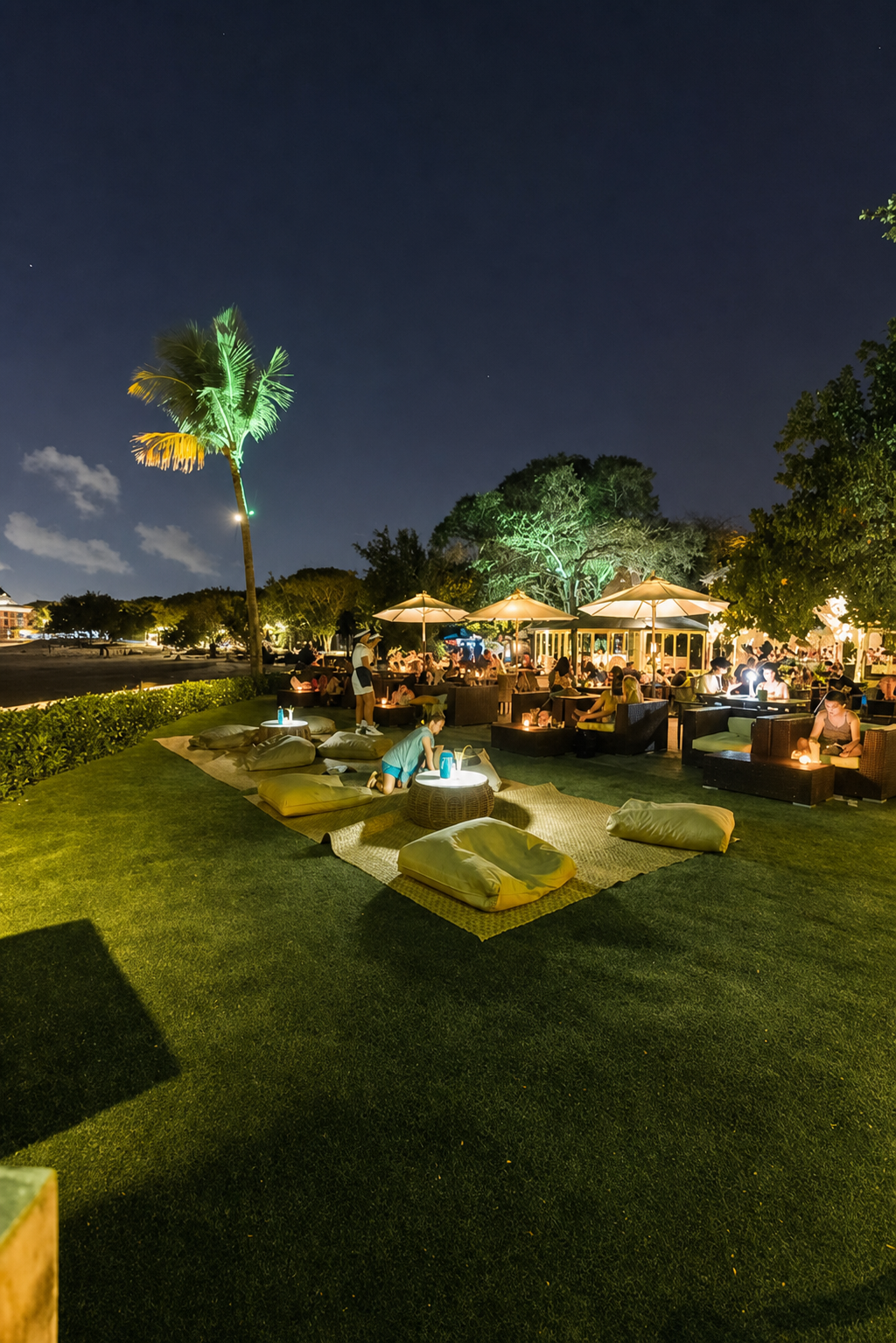Illuminated palm tree and beachfront garden lounge at night