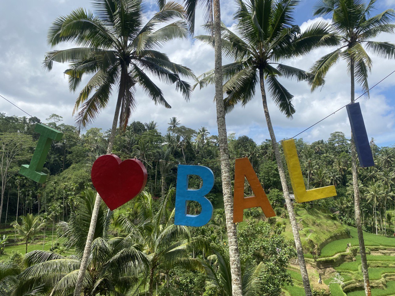 ヤシの庭のBaliサイン