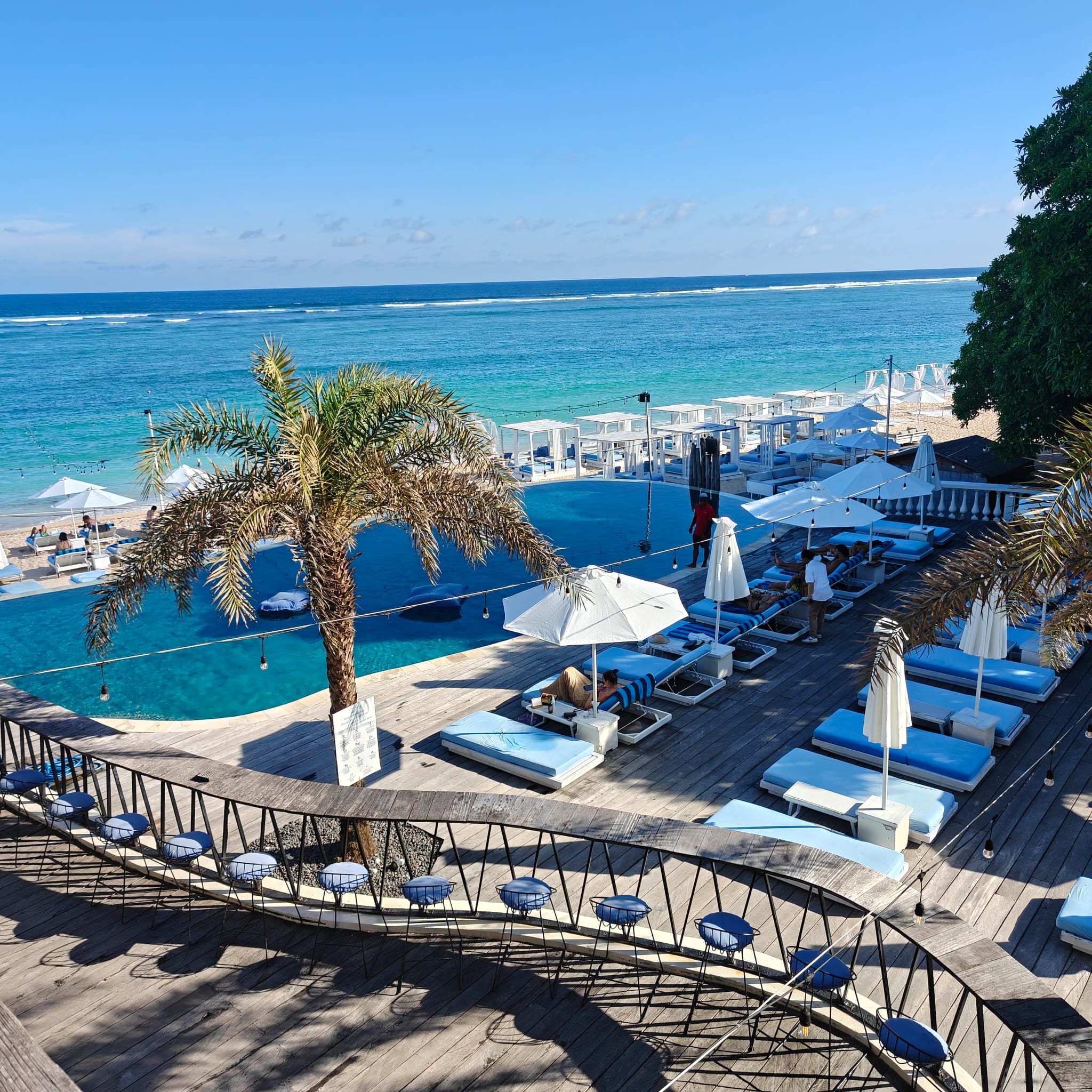 Canna Bali pool day