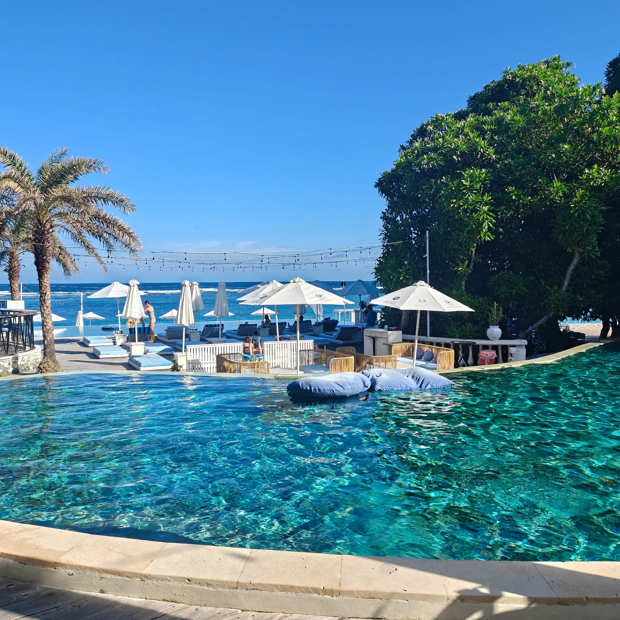 Canna Bali pool day