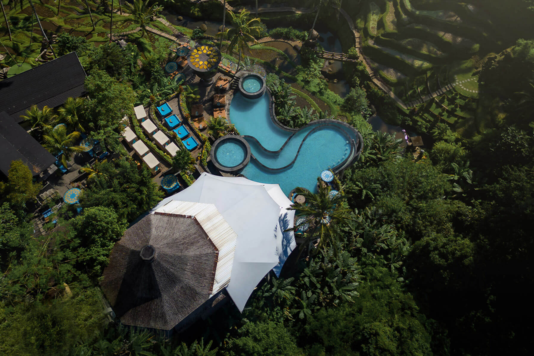 Suasana teras sawah dan pool di Cretya Ubud
