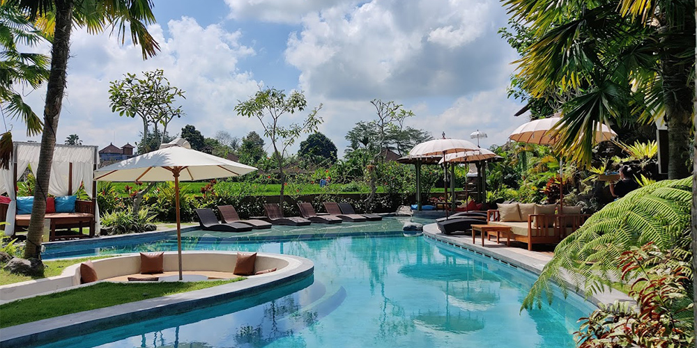 Pemandangan kolam dari dekat permukaan air