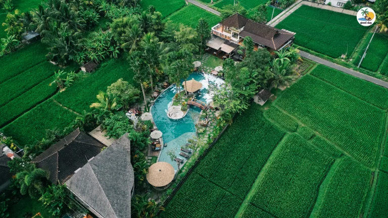 Good Day Resto & Pool Bar