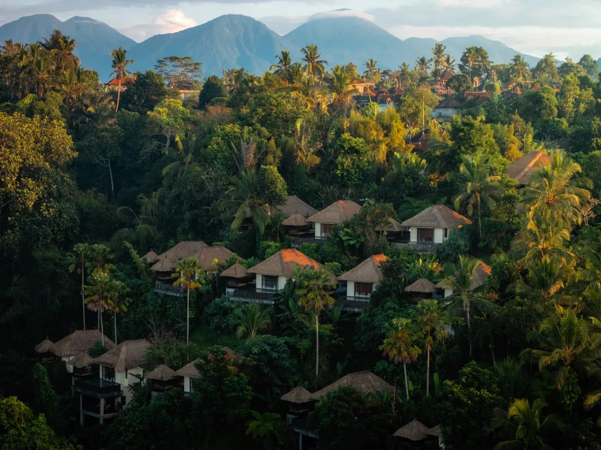 Villas surrounded by jungle