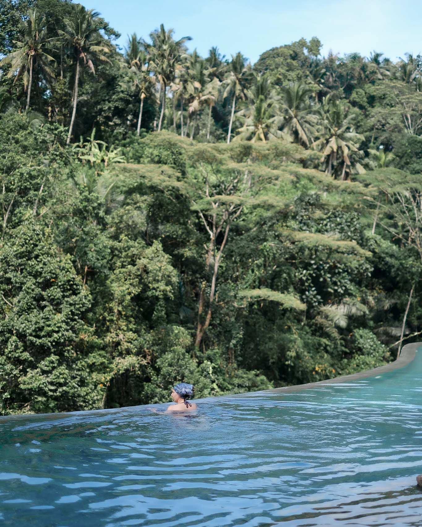 Air dan Hutan