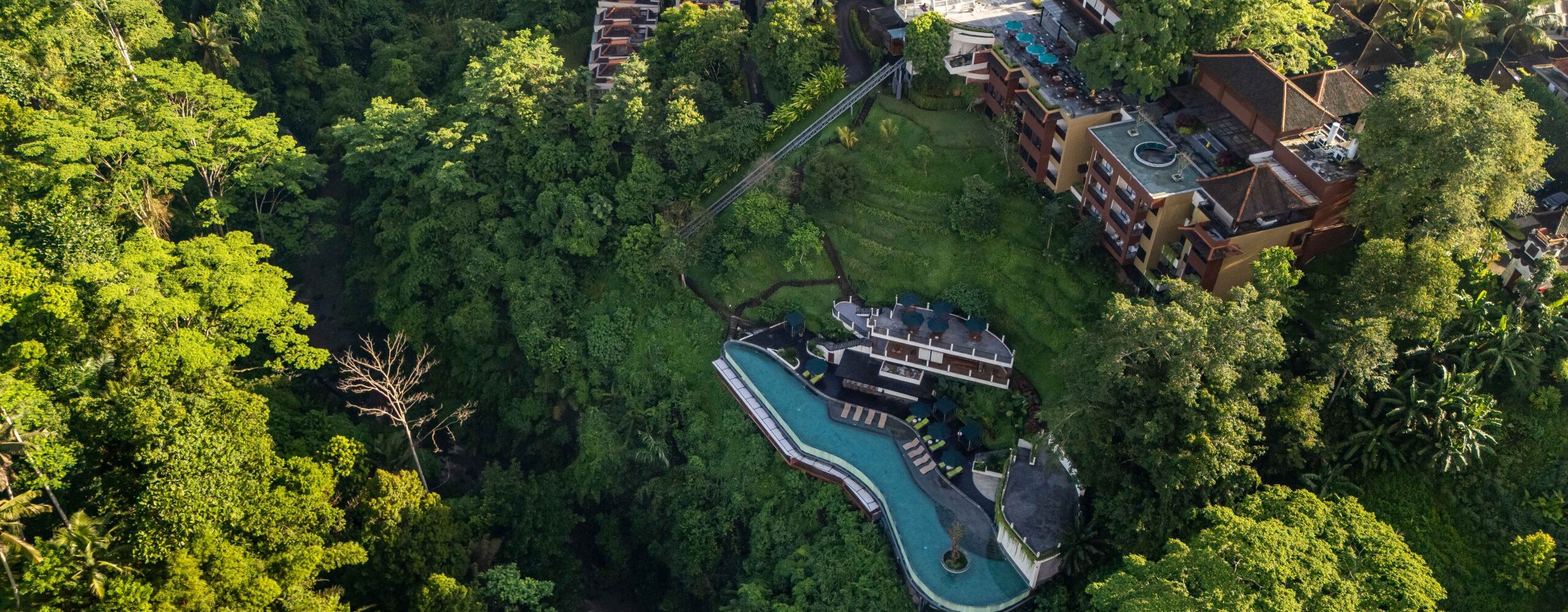 Pemandangan Hotel dan Kolam di Tengah Hutan