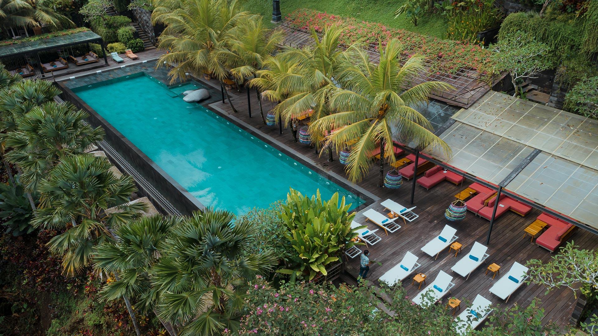 Pool deck dan view hutan Jungle Fish Pool Bar