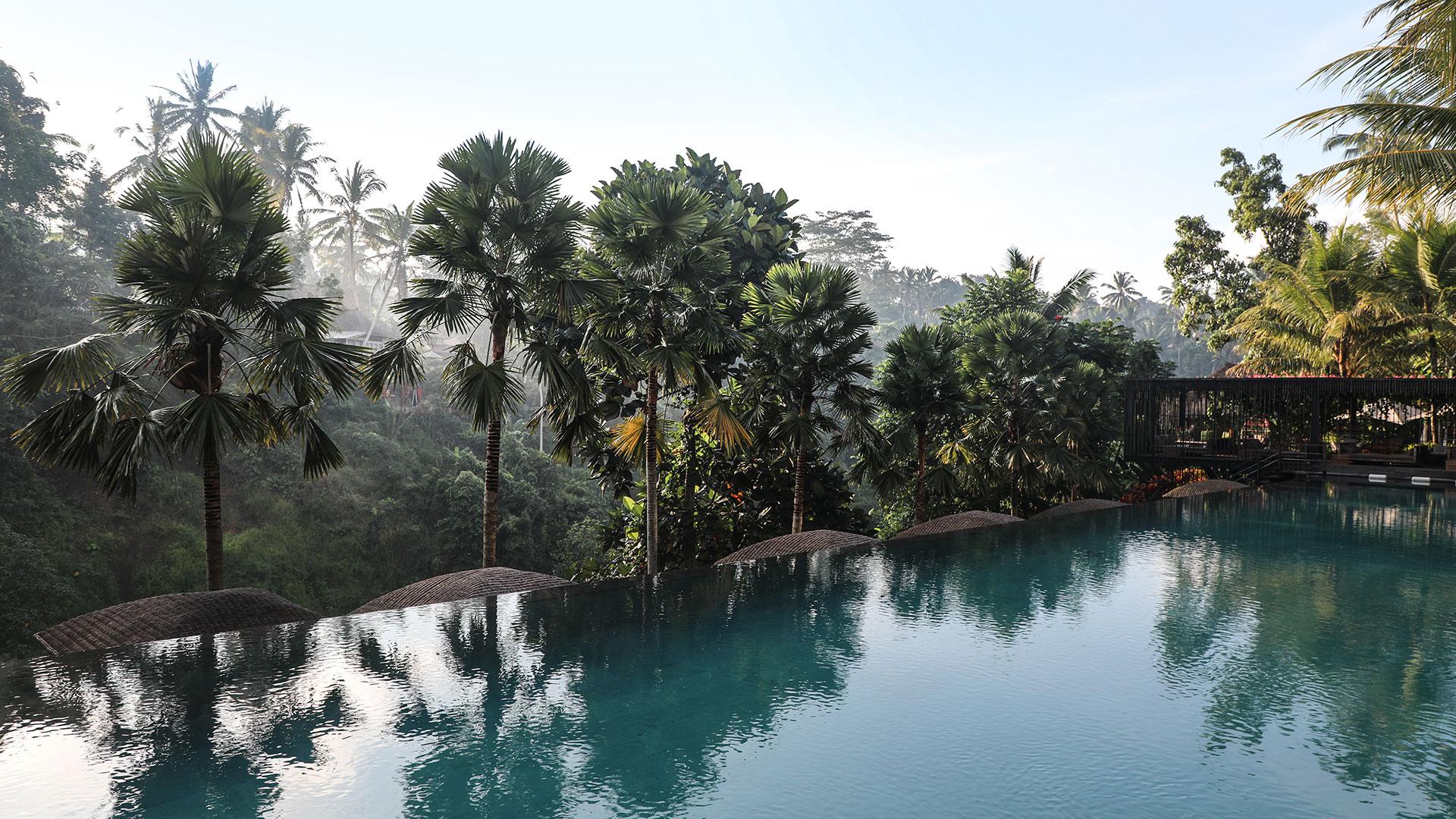Suasana poolside Jungle Fish Pool Bar