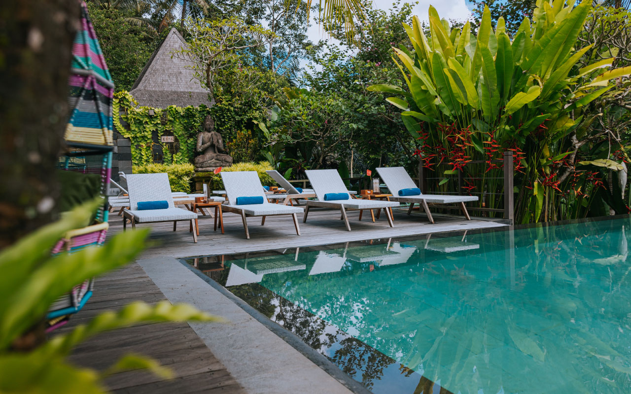 Sun Lounger