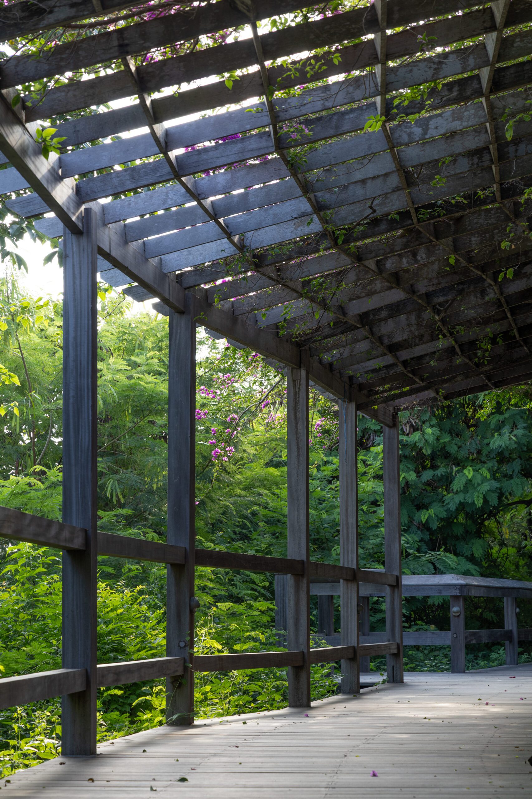 Dappled light on the Boardwalk