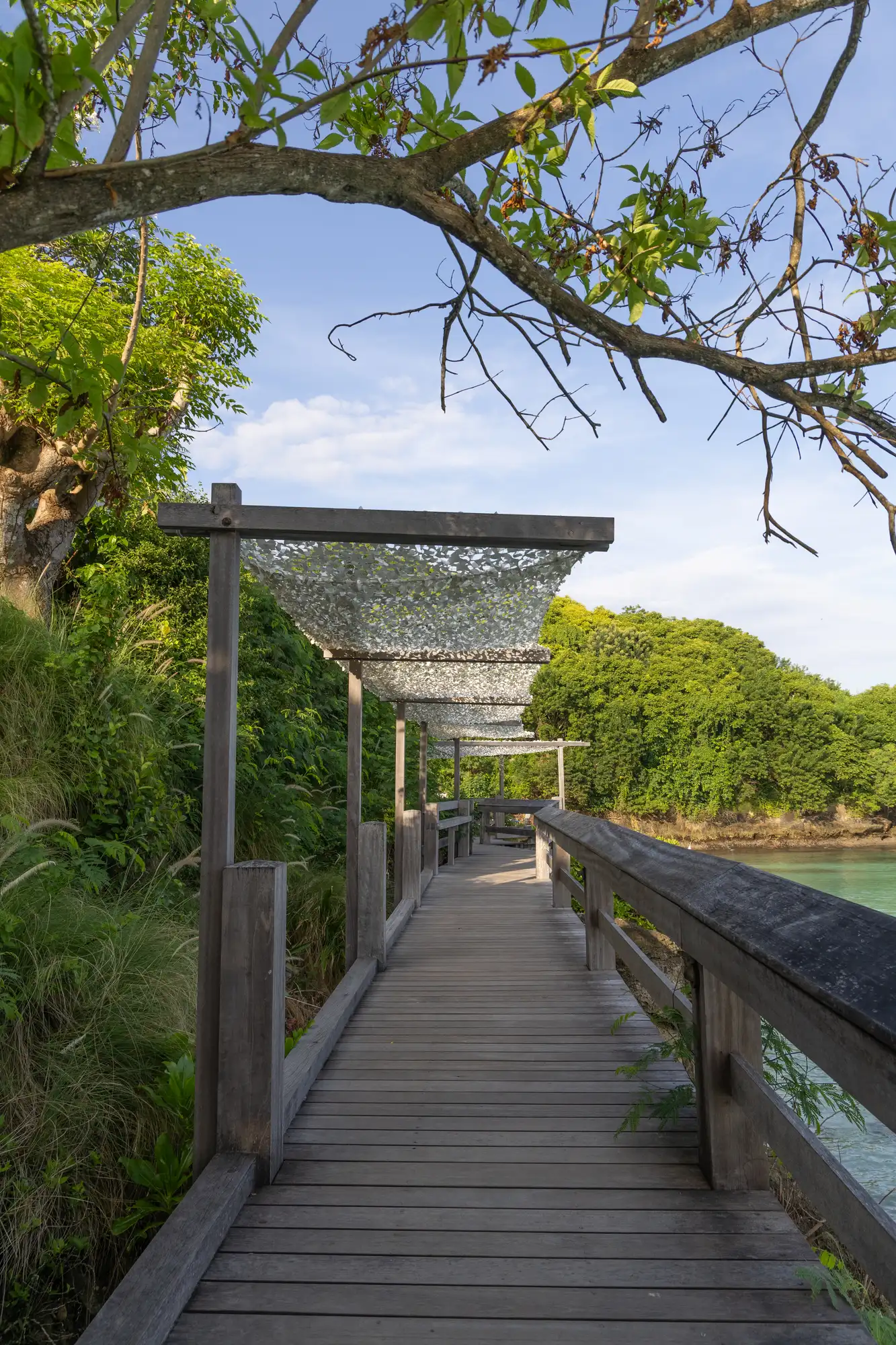 Coastal walkway surrounded by greenery