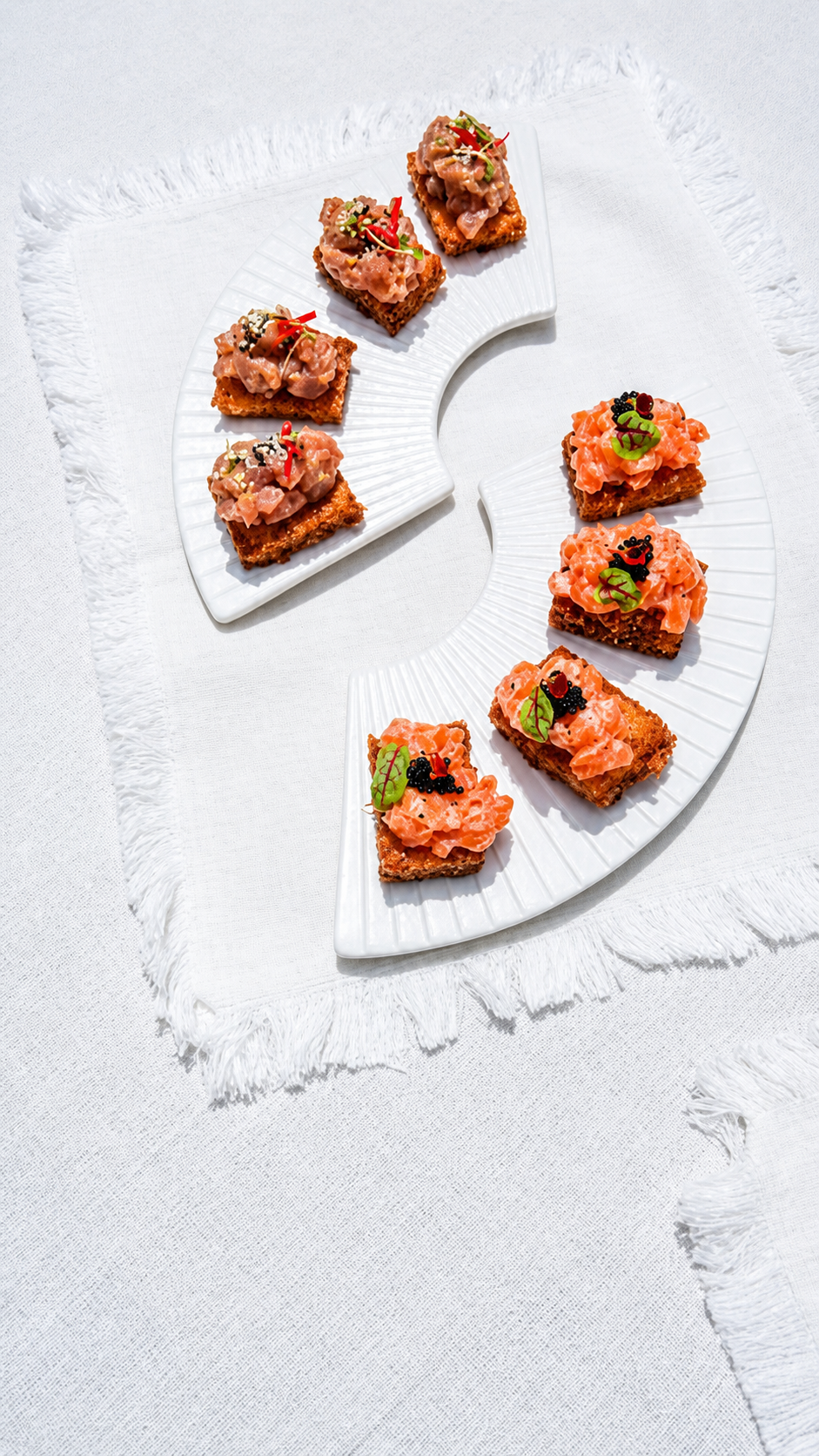 Crispy Sushis