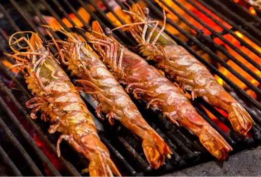 Surf & Turf