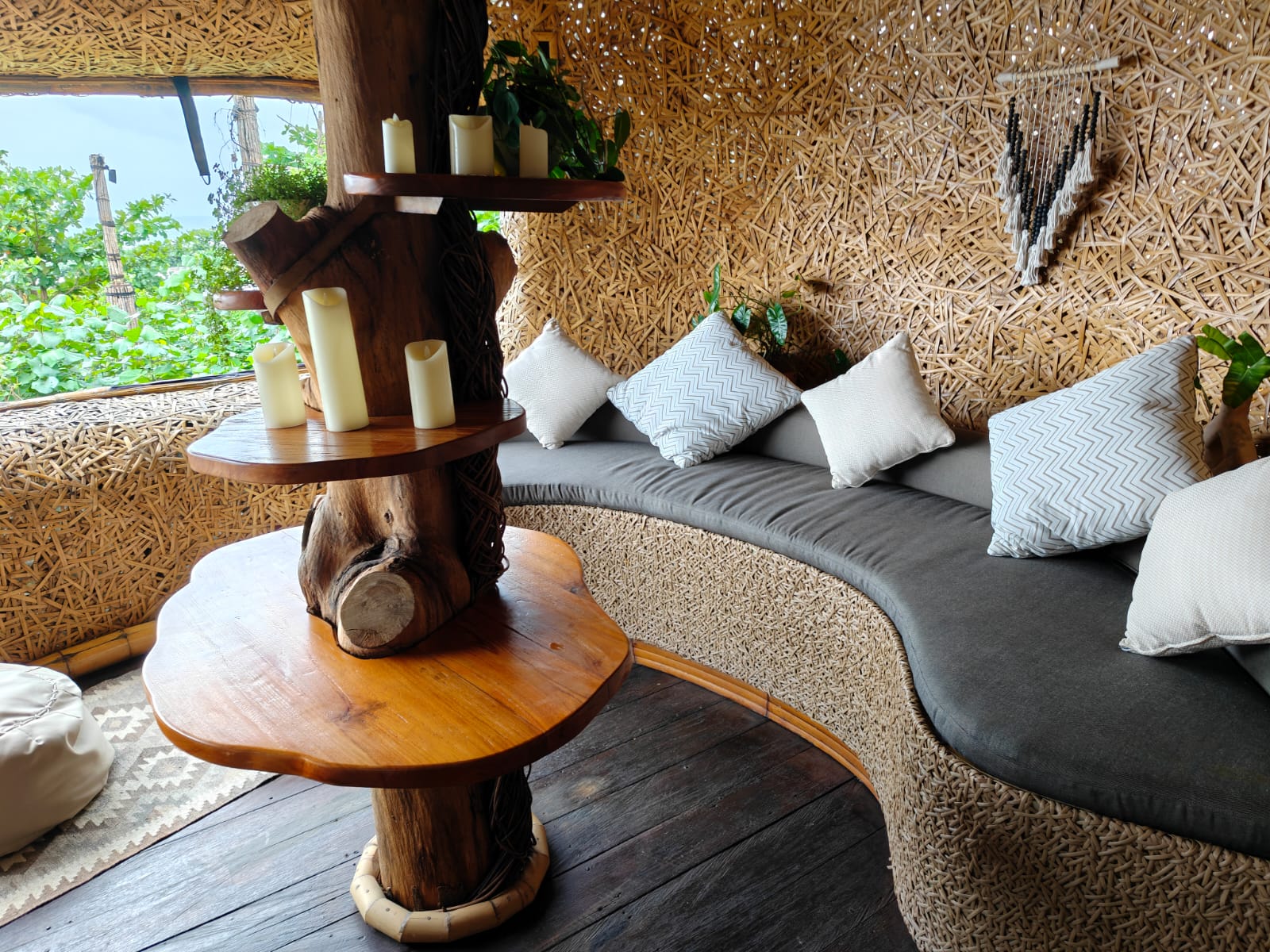 Gardenia Shiitake Tree Pod