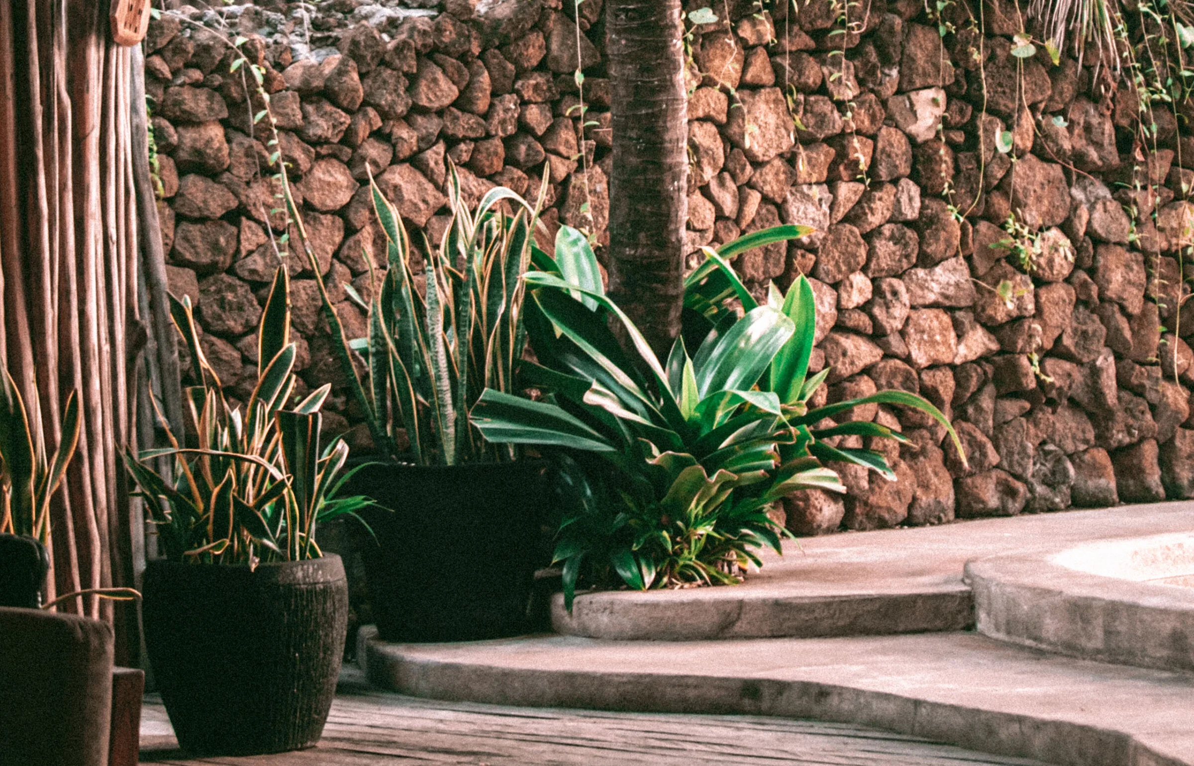 Stone wall and green stairway