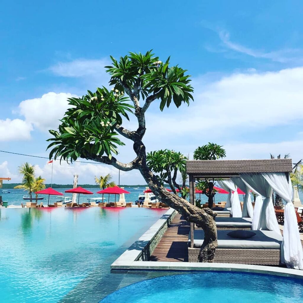 Sudut pool dengan pohon kamboja dari Maruti Beach Villas