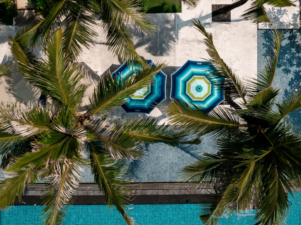 Missoni Resort Club — Palms and poolside parasols