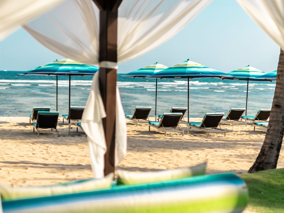 Lawn and beach lounge