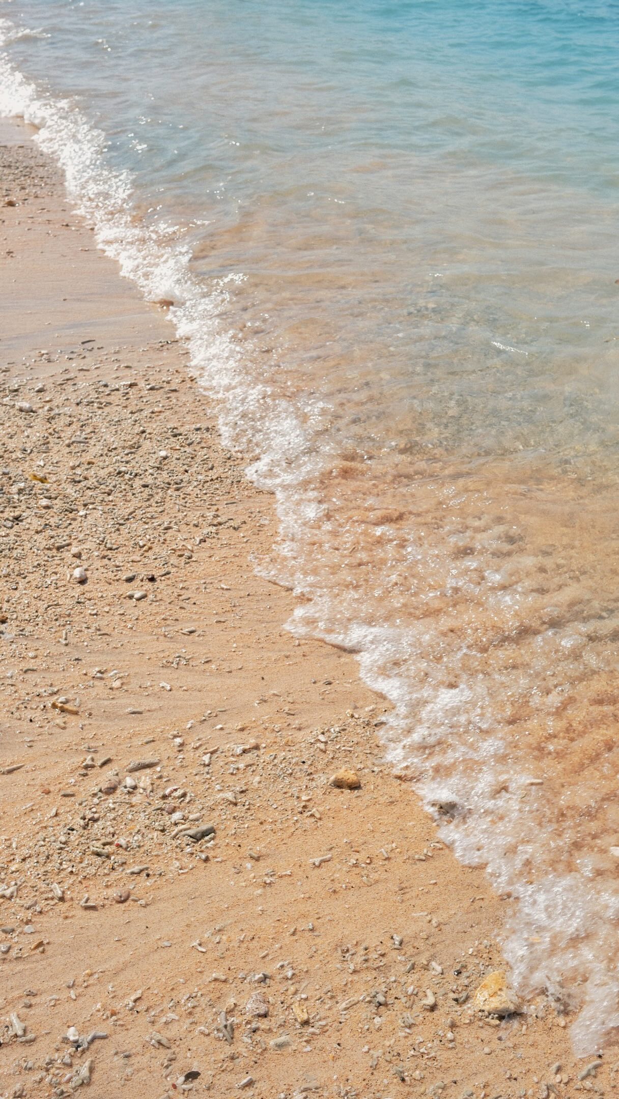 Nomé Beach Clubの海辺の空間