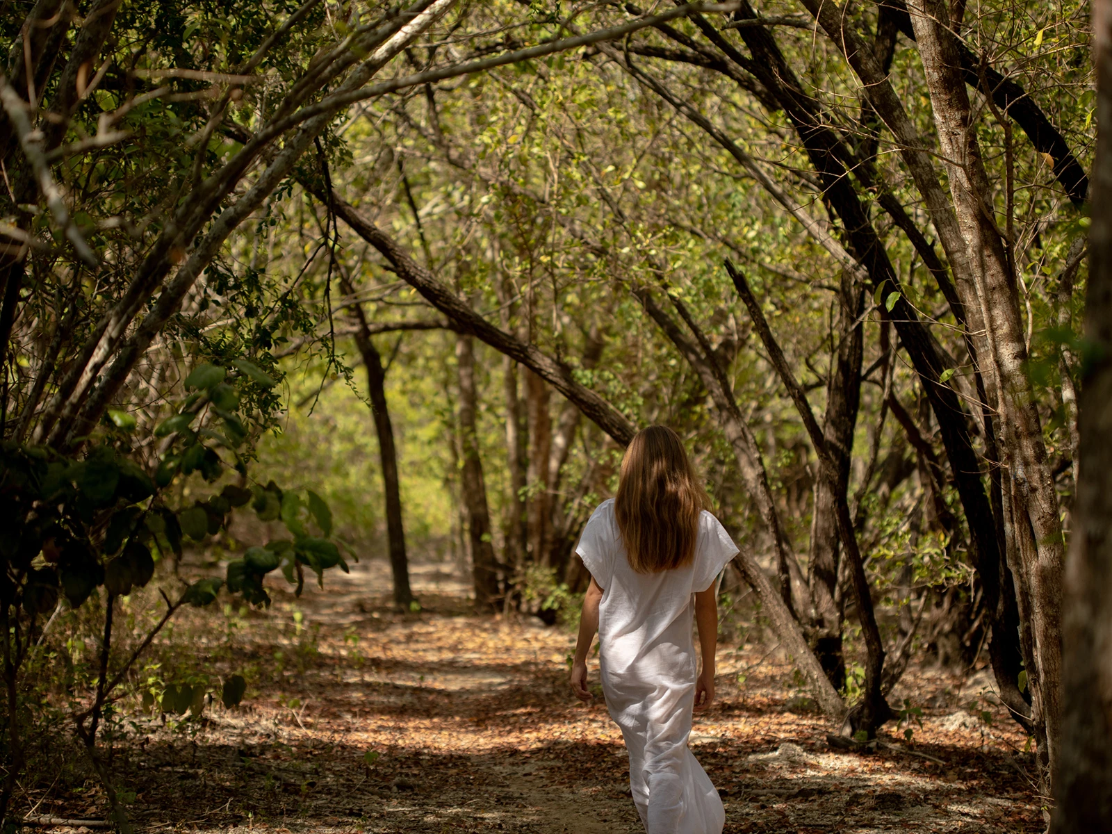 National-Park Greenery