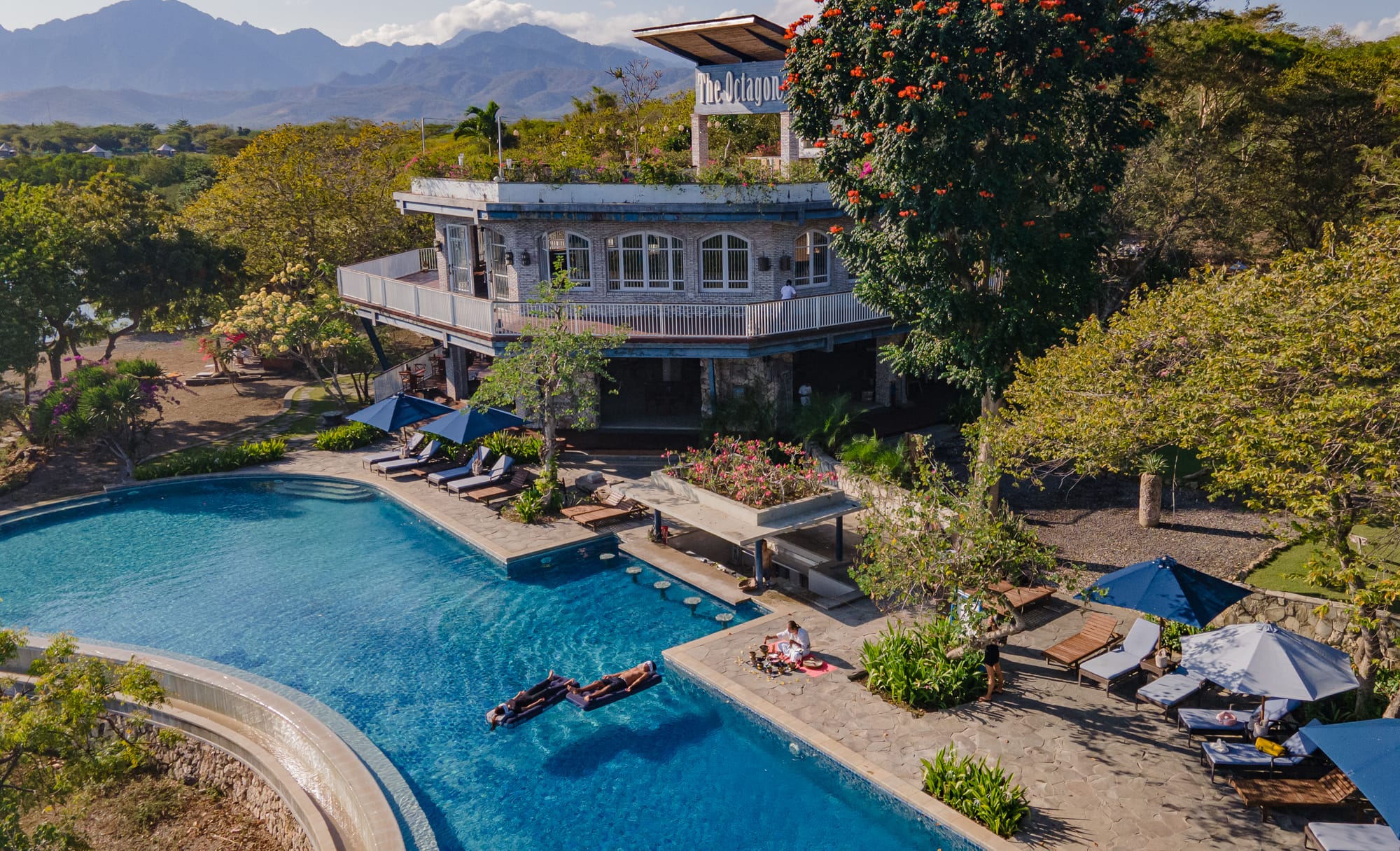 Poolside Loungers