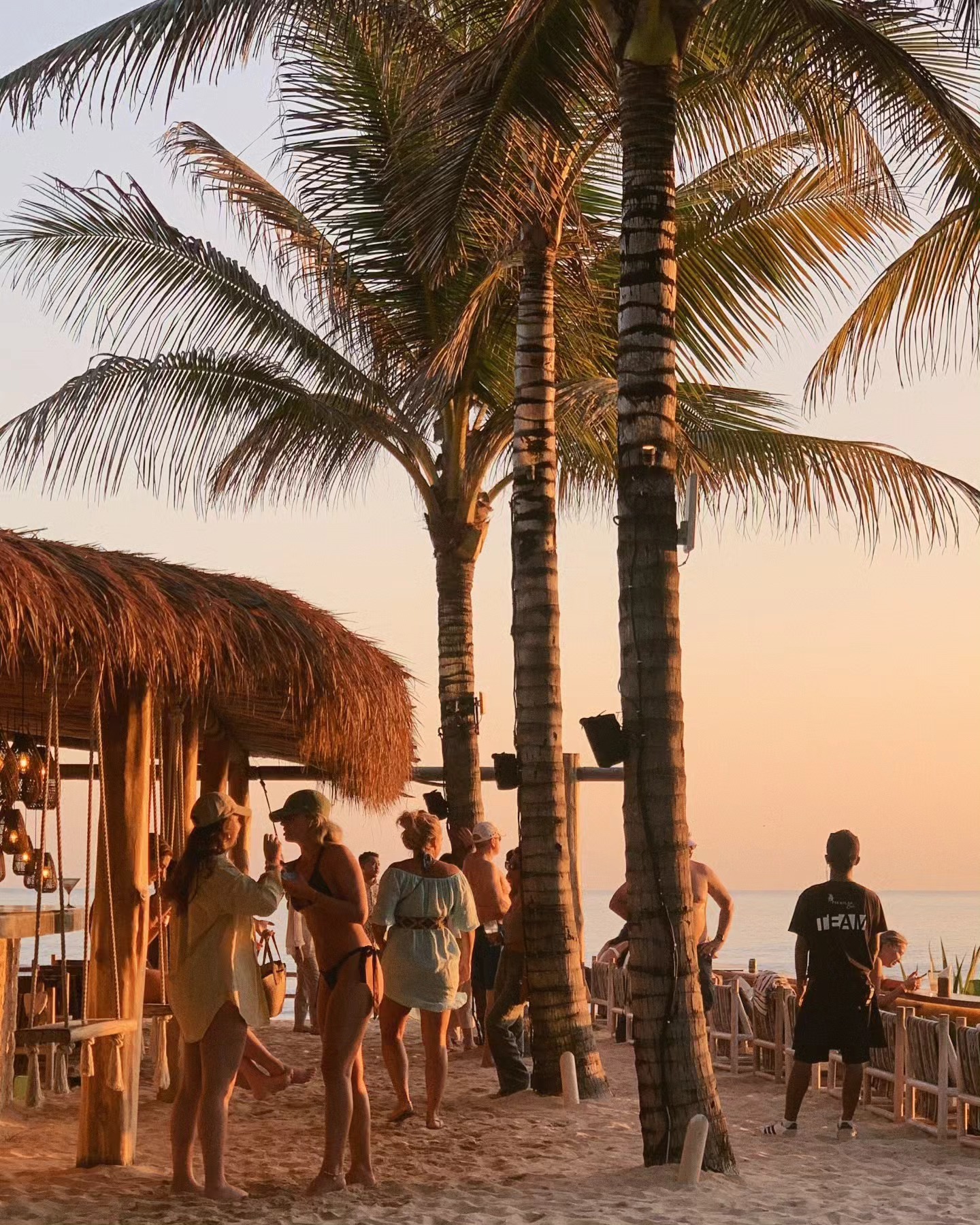 Palmilla Beach Club Bali — Pohon palem dan tepi laut pada sore hari