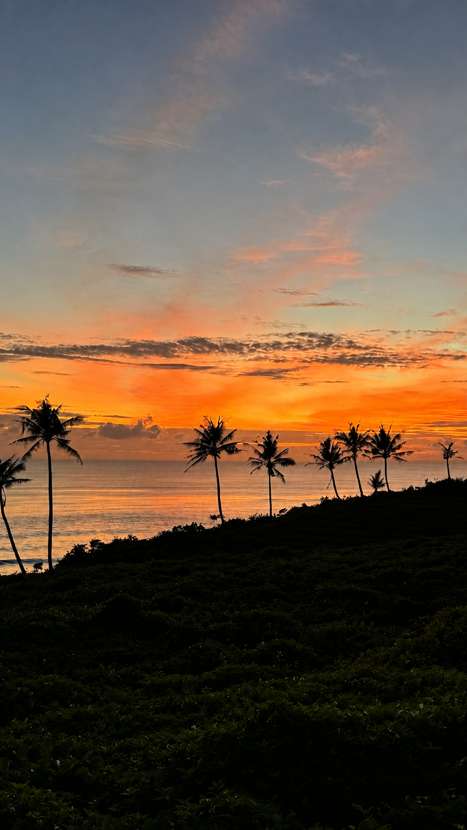 Balian Beachのヤシと夕景