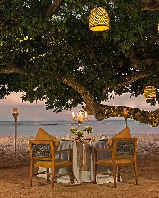 Enchanting Tree Dinner
