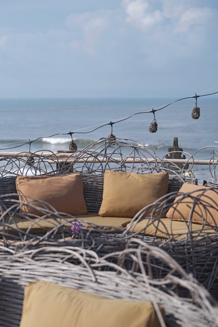 Nest