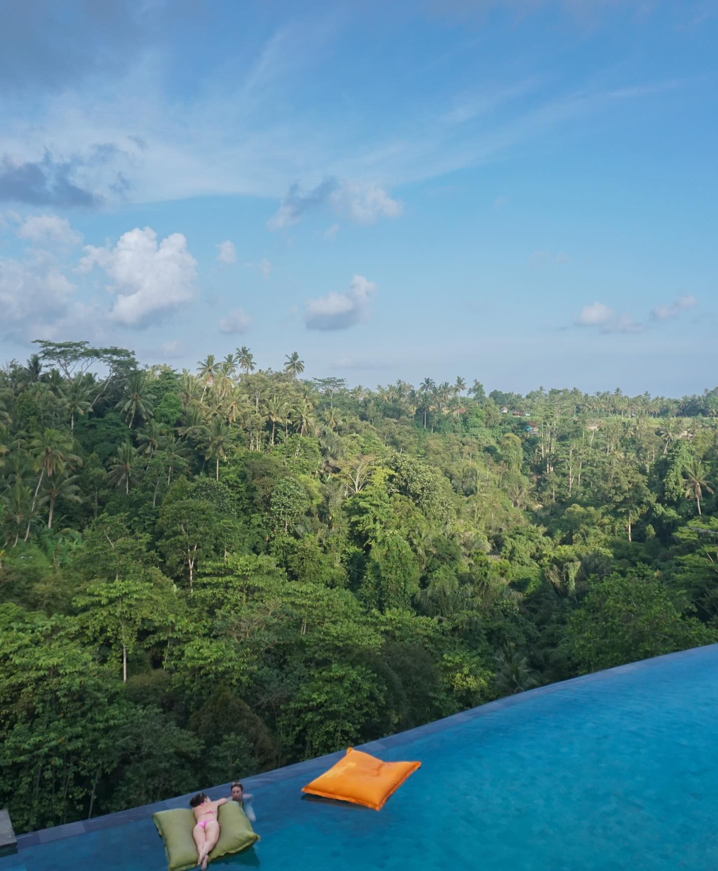 Forest and Infinity Pool