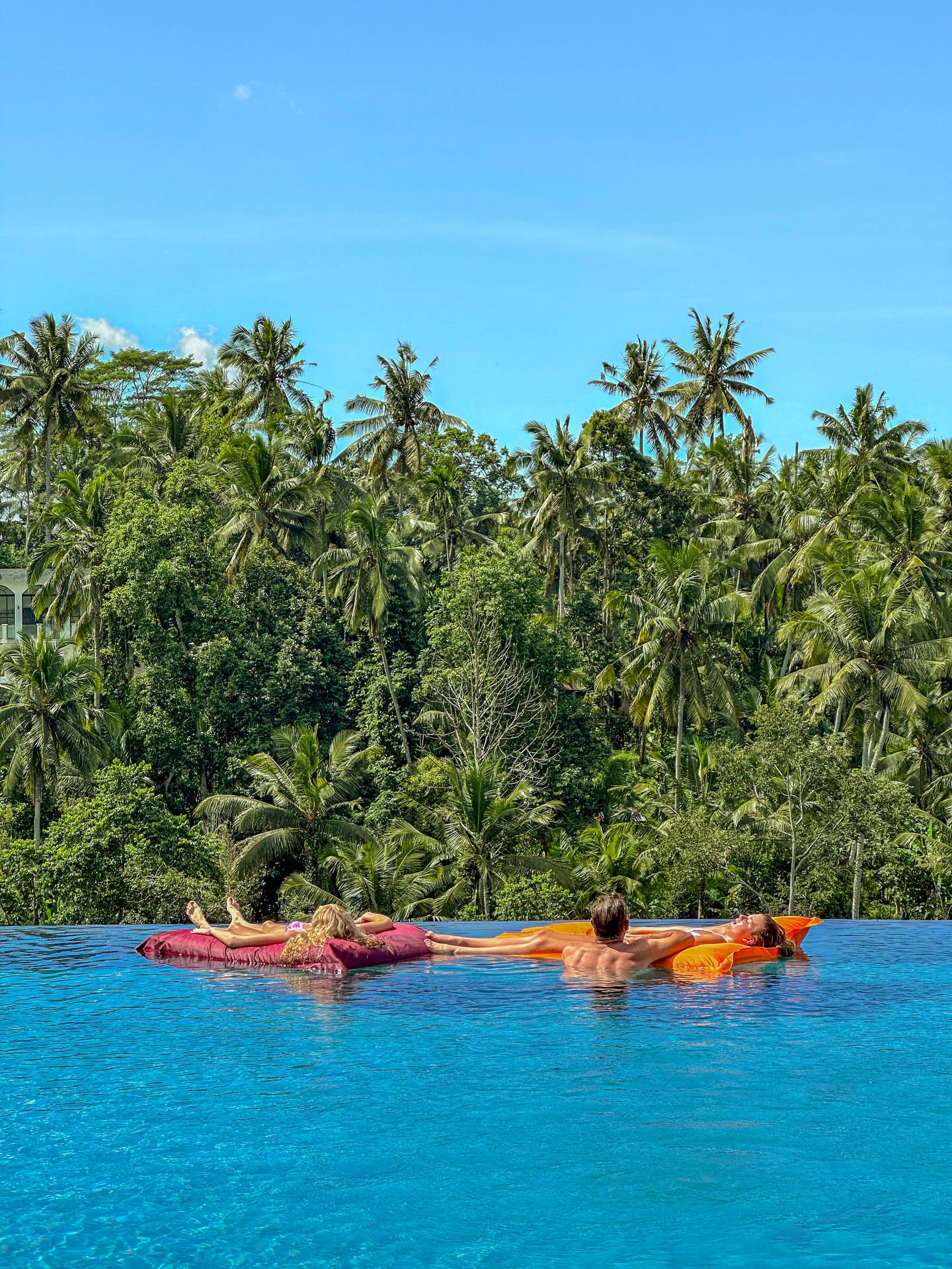 Infinity Pool on a Sunny Day
