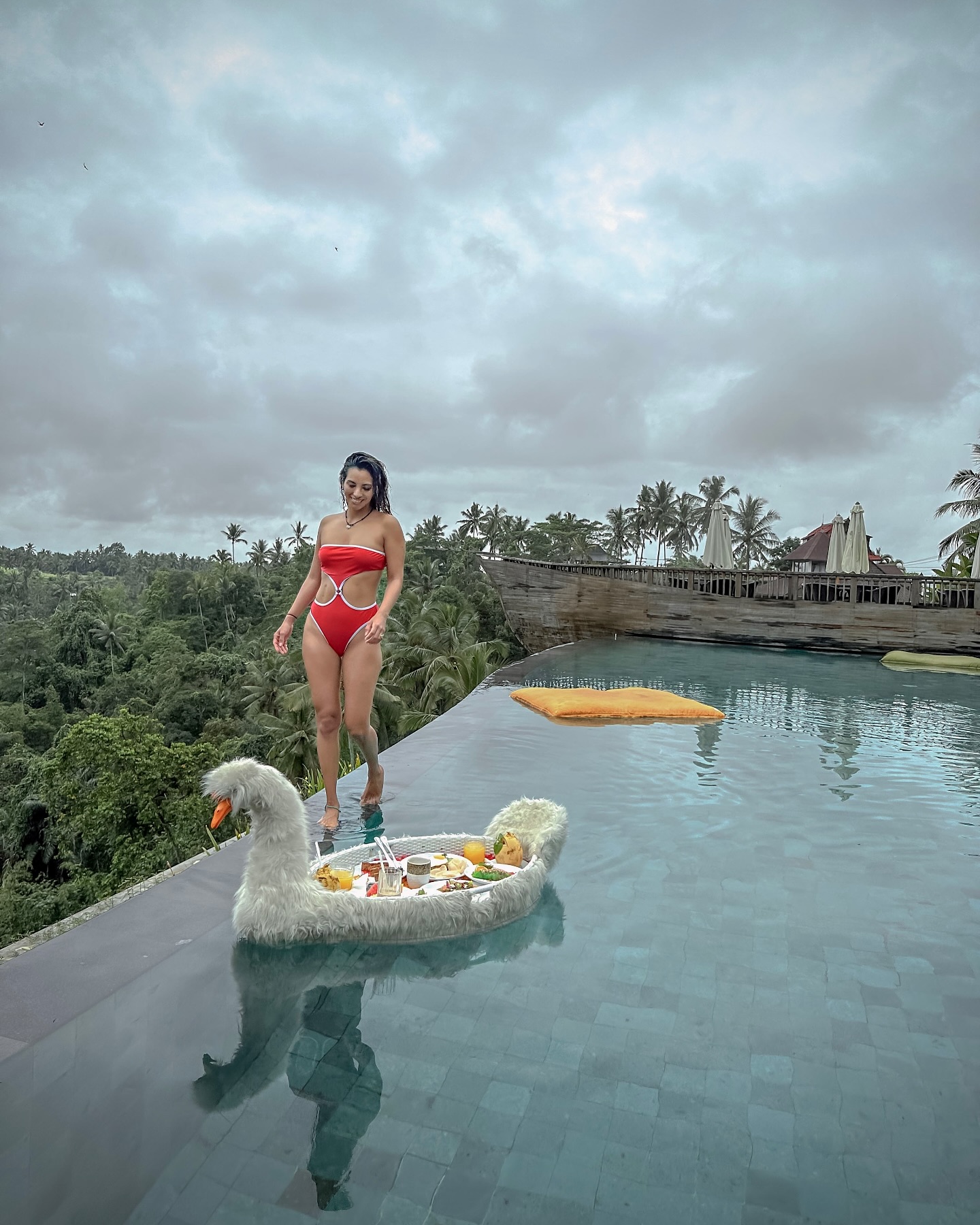 Pool and Swan Float