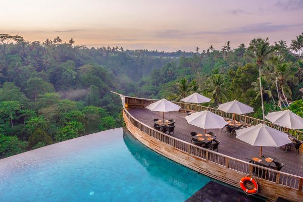 Boat Dining and Pool Facing the Forest
