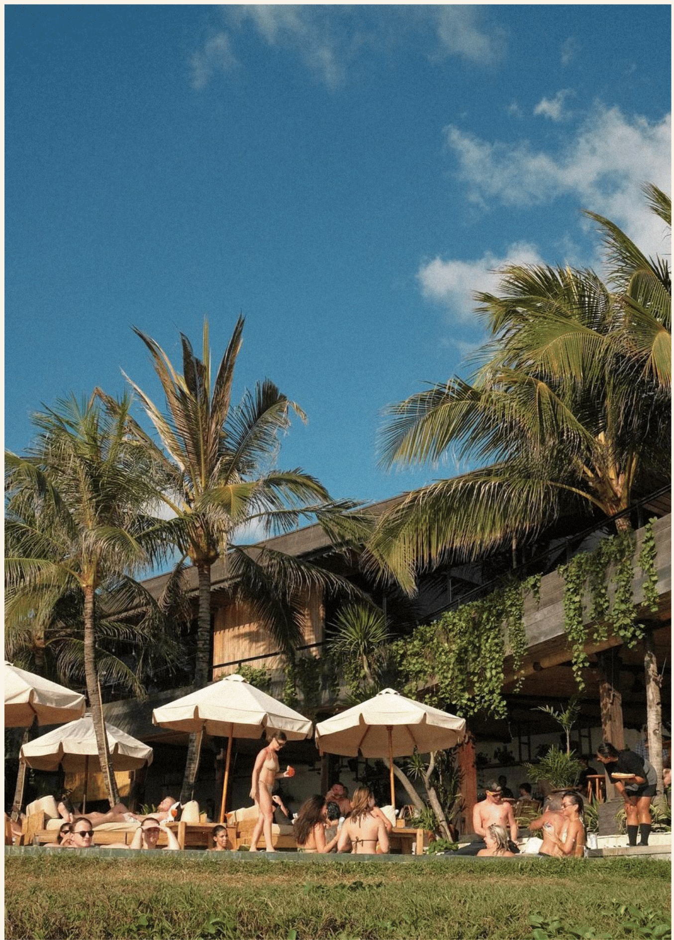 Terrace Area