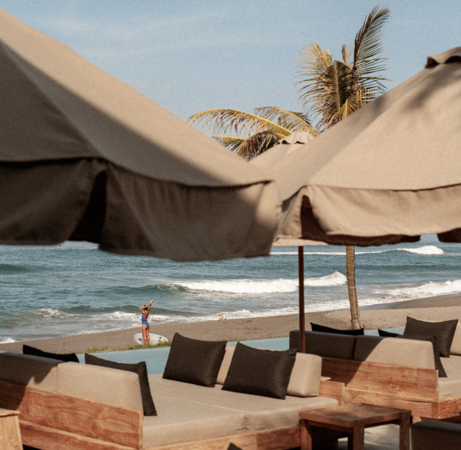 Sofas by The Palm Tree (W/o Shade)