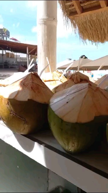 Young Coconut